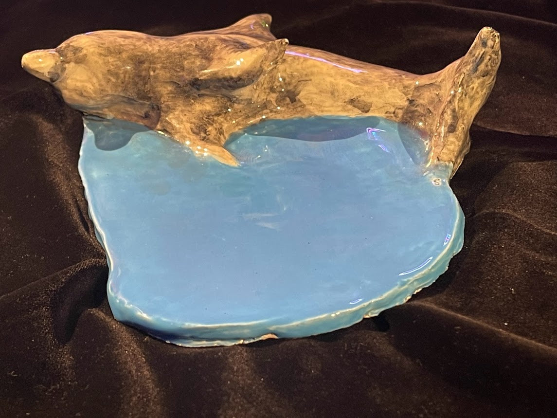 Cool Dolphin Tray